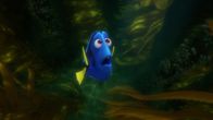 Findet Dorie – Dorie