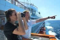 Verrückt nach Meer – Offizier Christian Baumann zeigt Nadine Angerer den Maschinentelegraphen und den Toter-Mann-Knopf auf der Brücke. Plötzlich entdeckt der Rudergänger backbords eine Gruppe Wale, die dicht neben dem Schiff auftauchen. Nadine beobachtet die Wale mit dem Fernglas.