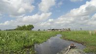 Der Mississippi - Amerikas Lebensader – Der Bayou im Sumpflandschaften des Mississippi-Mündungsdeltas.