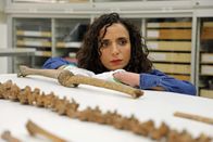 Kriegerinnen der Wikinger – Ella Al-Shamahi at Swedish History Museum, Stockholm, examining Viking bones. (National Geographic/Eloisa Noble)