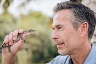 Faszination Erde – Schon kurz nach dem Schlüpfen schnappt das Kubakrokodil um sich. Die Tiere gelten als besonders angriffslustig. Dirk Steffens erlebt hautnah, wie Forscher um das Überleben der seltenen Tiere kämpfen.