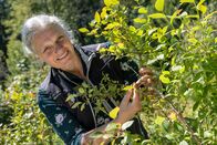 Lecker aufs Land (rbb) – Sa, 28.03., 20:19 Uhr