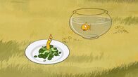 Unser Sandmännchen – Pottwal hat Geburtstag und bekommt eine Algentorte.