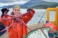 Argentinien – Liz Consentino fängt im Beagle-Kanal eine Königskrabbe aus Patagonien – sie zählt zu den gefährdetsten Meeresbewohnern der Region.