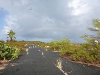 Mysteriöse Inseln – In den Weiten des zentralen Pazifiks, etwa 1300 Kilometer südwestlich von Honolulu, liegen mehrere kleine Inseln, die sich entlang eines ausgedehnten Korallenriffs erstrecken. Die größte von ihnen ist das Johnston-Atoll. Der kurze Busch und der sandige Boden bieten einen Nist- und Bruthafen für wandernde Seevögel, darunter Bobbies, Albatrosse und tropische Rotschwanzvögel. (Kredit: Michael Skandalis)