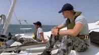 Sea Patrol – Sa, 05.10., 11:15 Uhr
