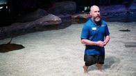 When Sharks Attack - Hai-Alarm – Marine Biologist Shannon Hughes with stingrays at Ripley's Aquarium. (National Geographic/Karen Sloan)