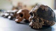Humans - Geschichte der Menschheit – Wie wurden wir zum modernen Menschen? Offenbar war unsere Evolution weniger geradlinig als gedacht.