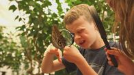 Sesamstraße – Oscar bestaunt einen Schmetterling.