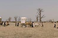 Blood River – Malans Treck zieht in eine ungewisse Zukunft.