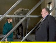 Der Dicke – Gregor Ehrenberg (Dieter Pfaff, r.) trifft Marianne Sobinski (Antje Westermann, l.) im Elefantenhaus.