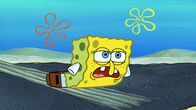 SpongeBob Schwammkopf – SpongeBob