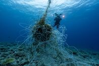 Terra X: Faszination Wasser – Bei der Arbeit im Chagos-Archipel stoßen die Forschenden auf einen Fischsammler – diese Strukturen im Wasser sollen Fische anlocken. Im Meeresschutzgebiet ist das absolut illegal.