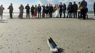 mareTV – Stürmische Hochzeit: Bis Windstärke 9 wird auf Norderney in Weiß geheiratet.