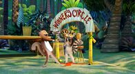 King Julien – Fr, 21.10., 06:05 Uhr