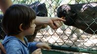 Verrückt nach Meer – Lio auf dem Ausflug bei der Fütterung im Tierpark (Papageienpark) in Puntarenas.
