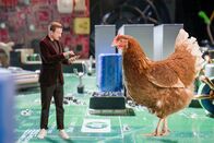 Gipfelstürmer – Stefan Büsser mit Huhn