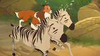 Lassie – In einer spektakulären Aktion hat Lassie die ausgebrochenen Zebras unter ihre Kontrolle gebracht und galoppiert mit ihnen zurück zum Zirkuszug.