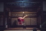 The Handmaiden – Sa, 22.10., 22:00 Uhr