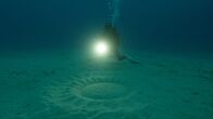 Big Pacific – Rätselhafte Kunstwerke am Meeresgrund vor der japanischen Insel Amami. Sie wurden 1995 entdeckt und erst viele Jahre später kam man dem Designer auf die Spur. Ein kleiner Kugelfisch.