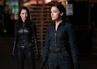 The Flash – The Flash (2021)