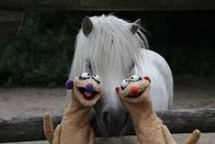 Unser Sandmännchen – Jan und Henry machen sich darüber Gedanken, warum ihre Nasen unterschiedliche Farben haben. Ăśberhaupt gibt es so viele verschiedene Personen, die alle ganz anders sind, zum Beispiel im Zoo: Da gibt es Tiere mit langen Hälsen, mit Punkten, großen Augen oder dickem Fell.