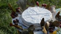 Zu Tisch ... – Zu Tisch Wienerwald – Österreich Camelsbert: Ein mit Elsbeercreme gefüllter Camembert Copyright: SRF/Berlin Producers/Dieter Stürmer