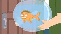 American Dad! – Hayley