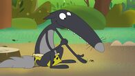 Wolf – Wolf-Tarzan versucht neue Freunde zu finden.
