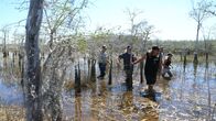 Die Pythonjäger - Einsatz in den Everglades – L-R: Tom Cobb, Jay Starr, Dusty Crum, Gary Clark und Brittany Borges