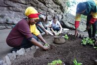 Verrückt nach Meer – Dass die Rastafari-Kultur sehr eng mit der Natur verbunden ist, lernen die Praktikantinnen der "Weißen Lady", Theresa und Lena, beim gemeinsamen Anpflanzen von Gemüse mit Gläubigen in einer Felsenhöhle in Kwazulu-Natal.