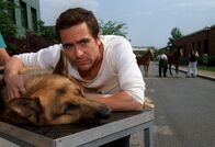 Kommissar Rex – Marc Hoffmann (Alexander Pschill) bringt Rex ins Spital.