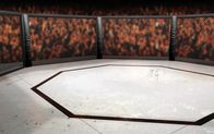 Mixed Martial Arts – Sa, 02.04., 23:00 Uhr