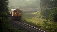 Traumzüge – Mit der Südbahn Thailands können Reisende quer durchs Land fahren. Doch häufig werden die Gleise von Pflanzen überwuchert.