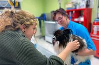Re: – Franziska Uhl (li.) trifft einen ihrer Rohstofflieferanten im Hundesalon von Angela Unger (re.) in Berlin.