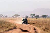 Wilde Wege – Geländewagen in der Serengeti