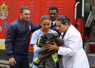 Chicago Fire – Chicago Fire (2014)