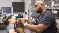 Die Tierärzte von Houston – Dr. Ross works on a dog with Carla.
