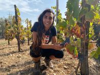plan b – Arianna Occhipinti bei der Weinlese in Vittoria, Sizilien.