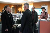 Navy CIS – Ermitteln gemeinsam in einem neuen Fall: Bishop (Emily Wickersham, 2.v.l.), Jake (Jamie Bamber, l.), Gibbs (Mark Harmon, M.), McGee (Sean Murray, 2.v.r.) und Abby (Pauley Perrette, r.) ...