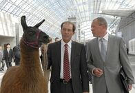 Tierärztin Dr. Mertens – Nach einem überaus erfolgreichen Auftritt zum Thema "Zoo der Zukunft" treffen Dr. Fährmann (Michael Lesch, links) und sein Lama im Kongress-Center auf Oberbürgermeister Herrenbrück (Frank Sieckel). Die beiden Männer sind seit Fährmanns Alleingang beim Prokjekt Tropenhalle verfeindet.
