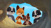 Mama Fuchs und Papa Dachs – Di, 11.11., 09:35 Uhr