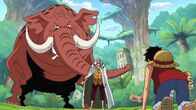 One Piece – Di, 10.03., 05:10 Uhr
