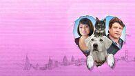 Liebe auf 4 Pfoten – "Liebe auf 4 Pfoten": Die vom Liebespech verfolgte Emma (Kate Micucci, l.) sieht sich unverhofft mit gleich drei neuen Verehrern konfrontiert: Carl (Sean Astin, r.), sowie ihren Haustieren Summit und Ajax, die sich auf magische Weise in Menschen verwandeln.