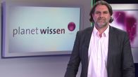 Planet Wissen – Prof. Dr. Andreas Löschel hat den Lehrstuhl für Mikroökonomik, insbesondere Energie- und Ressourcenökonomik, an der Universität Münster inne. Er leitet das Virtuelle Institut Smart Energy in Nordrhein-Westfalen. Andreas Löschel ist Vorsitzender der Expertenkommission zum Monitoring-Prozess "Energie der Zukunft" der Bundesregierung und gewähltes Mitglied der Deutschen Akademie für Technikwissenschaften (acatech).