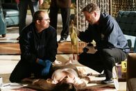 CSI: Vegas – Als sie die Leiche der Schauspieldiva Annabelle Fundt (Katey Sagal) untersuchen, bekommen Grissom (William Petersen, r.) und David Phillips (David Berman) einen Einblick in den seltsamen Humor einer Sitcomproduktion...