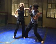 Castle – Kate Beckett (Stana Katic, l.) liefert sich heißen Kampf mit ihrem Kollegen Det. Tom Demming (Michael Trucco, r.) ...