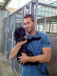 Der Hundetrainer - Lucky Dogs – Auch Brandon McMillan muss sich den Hürden einer Hundeadoption stellen, doch so schnell lässt sich der Hundetrainer nicht abschrecken ...