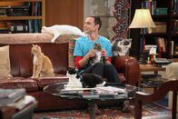 The Big Bang Theory – "The Zazzy Substitition" -- Coverage of the CBS series THE BIG BANG THEORY, scheduled to air on the CBS Television Network. Photo: Richard Cartwright/CBS