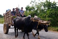 GEO Reportage – Yoni auf Reisen durch die Provinz Pinar del Rio, Kuba.
